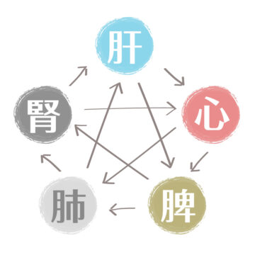 肝心脾肺腎